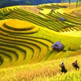 Tour Du Lịch Sapa 3 Ngày 2 Đêm