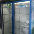 Bán thanh lý gấp tủ mát Alaska 1200L còn 80% giá cực rẻ như cho.