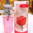 Nước hoa nữ LUCYA paris 365 every day eau de toilette 25ml korea