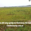 Bán đất công nghiệp 50 năm tại Ninh Giang hải dương giá hợp lý