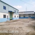Cho thuê gấp nhà xưởng tiêu chuẩn giá rẻ tại Sao Đỏ Chí linh, Hải Dương DT 1004m2