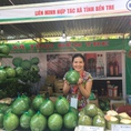 Bưởi da xanh Bến Tre tại Hà Nội, trồng theo tiêu chuẩn VietGap, gắn tem truy suất nguồn gốc