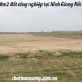 Bán gấp 1ha đất công nghiệp tại Ninh Giang Hải dương giá tốt
