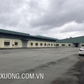 Cho thuê nhà xưởng chính chủ tại Bỉm sơn Thanh Hóa giá tốt