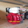 Động cơ nổ xăng BmB GX 160