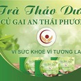 Trà củ gai và các chế phẩm từ củ gai giúp an thai