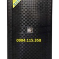 Loa kéo hát karaoke Bose BH 506