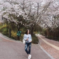 Du lịch Hàn Quốc mùa hoa anh đào nở rộ 5N4Đ