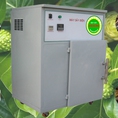 Máy Sấy Dược Liệu Ánh Dương