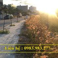 Bán lô góc đường T12 khu đô thị An Bình Tân, Nha Trang đã có sổ