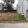Bán đất lấy tiền cưới vợ