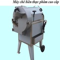Máy thái rau củ FC312 hàng công ty