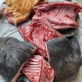 Chuyên cung cấp thịt rừng Campuchia