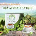 Trà túi lọc Atiso Eco Tree hộp 50 gói