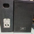 Bán loa karaoke: Peavey bass 25 hàng bãi Mỹ, nguyên bản, giá bán: 7.500.000 đ/ đôi