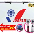 Tủ Đông Darling 450 Lít Dmf 4799axl Đồng R134a