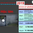 Chậu rửa chén 1 hộc lớn TiTi, Model: TT 110 E
