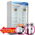 Tủ Đông Đứng 2 Cánh Alaska 800 Lít Ifc 100g2 Đồng R404a Không Đóng Tuyết