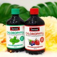 Swisse Chlorophyll 500ml Swisse Chất Diệp Lục của Úc 500ml