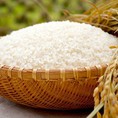 Khuyến mại lớn gạo Japonica 14.000đ/ kg