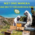 Mật ong Manuka chính hãng giá tốt