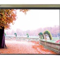 Màn chiếu treo tường 135 Inch DMS240