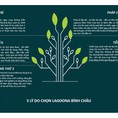 Lagoona Bình Châu Điểm đầu tư cho Cá mập