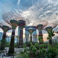 Tour du lịch Singapore 4 ngày 3 đêm