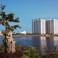 Cho thuê 300m2 sàn thông view hồ Đống Đa, Hoàn cầu rất đẹp