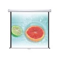 Màn chiếu treo tường 120 inch Dalite DMS220