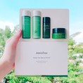 Bộ dưỡng da trà xanh Innisfree Green Tea Balancing Special Kit