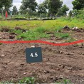 Bán gấp nền ngay trung tâm quận của tp Cần Thơ, chỉ cần trả trc 600tr, hỗ trợ vay