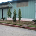 Cho thuê nhà xưởng tại Bắc Ninh Quế Võ 13010m, kho 4000m Có Ảnh Thật
