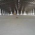 Cho thuê kho tại Bắc Ninh, Từ Sơn, Kcn Tân Hồng 2010m2 có ảnh