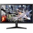 LG monitor IPS 24 24GL600F B