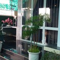Cần bán đất và nhà mặt đường chính đã xây nhà cấp bốn a nhà xây kiểu giả Thái kiểu mới hiện đại