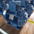 Motor HYOSUNG 3Pha Công Nghệ Hàn Quốc Chính Hãng