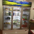 Tủ mát Sanaky 3 cánh, dung tích 1500 lít, dàn đồng
