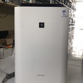 Máy lọc không khí Sharp KC F40 W Máy lọc 07