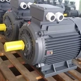 Motor QM 3PHA B3 0.5kw 1000kw
