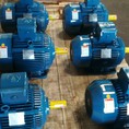 Motor Điện HYOSUNG 3PHA Chính Hãng HÀN QUỐC Sản Phẩm NEW 100% 100% Vỏ Gang.
