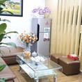 Văn phòng ảo chuyên nghiệp giá rẻ tại Hà Nội chỉ 650k/tháng