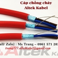 Cáp chống cháy, chống nhiễu 2C tiêu chuẩn 60331
