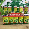 Tinh chất trị ho Prospan số 1 của ĐỨC loại 50ml