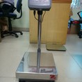 Cân bàn điện tử D24PE Ohaus,30kg,60kg,150kg,300kg