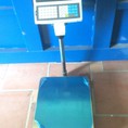 Cân điện tử ECB Cas, mức cân 30kg,60kg,150kg