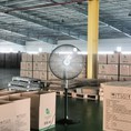 Quạt Cây Công Nghiệp Dasin KSM 3076