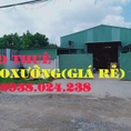 Liên Ấp 1 2 tây lân llên khu 4 5 160m 200 300 400 500m2 60Nghìn /m2