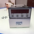 ĐỒNG HỒ CÂN DAT 500 xuất xứ Pavone Ý