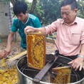 Thu hà chuyên sỉ lẻ mật ong xịn gía rẻ lục ngạn bắc giang sỉ lẻ bao giá toàn quốc